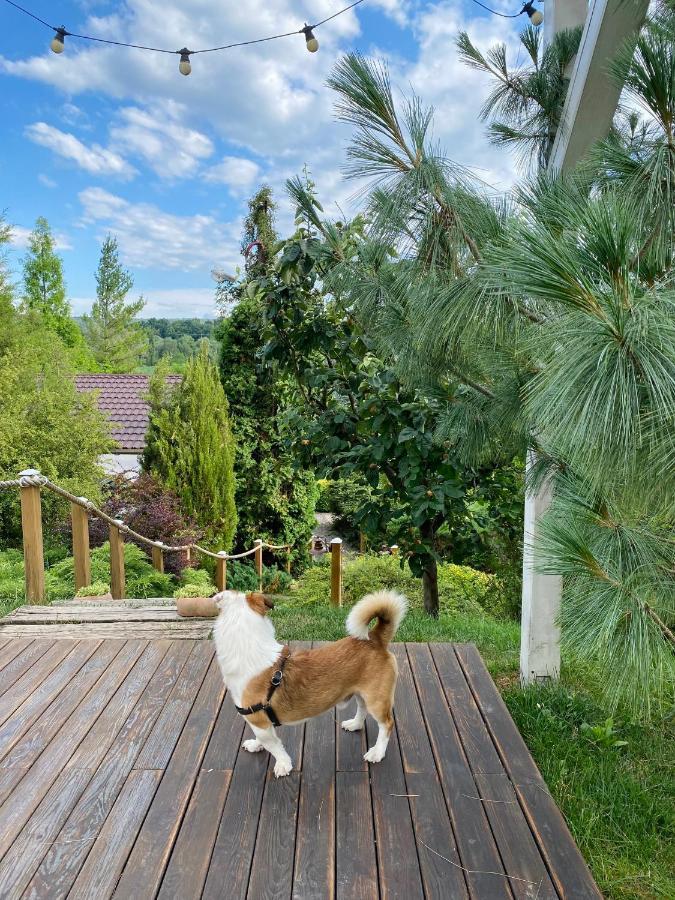 Casa Cu Suflet Hotel Sighişoara Buitenkant foto